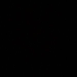 Meet your Posher, Lena